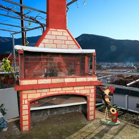 Loridis View * Принос